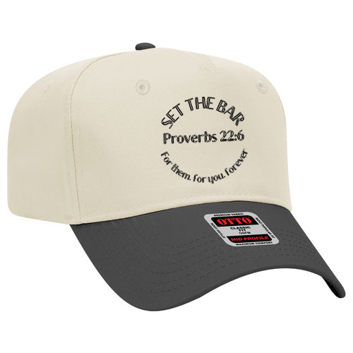 Proverbs 22:6 SnapBack